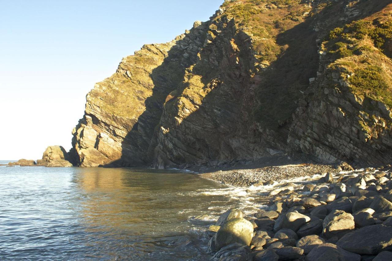 Kittiwake Cottage Braunton Eksteriør bilde
